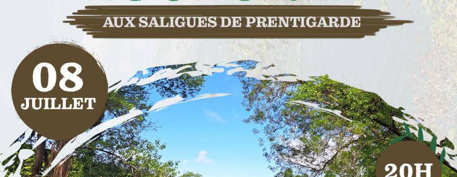 Saligues de Prentigarde