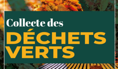 Collecte déchets verts Aire sur l'Adour