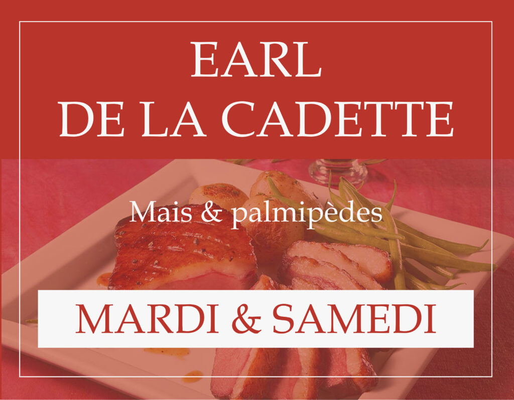 Marché couvert Aire sur l'Adour