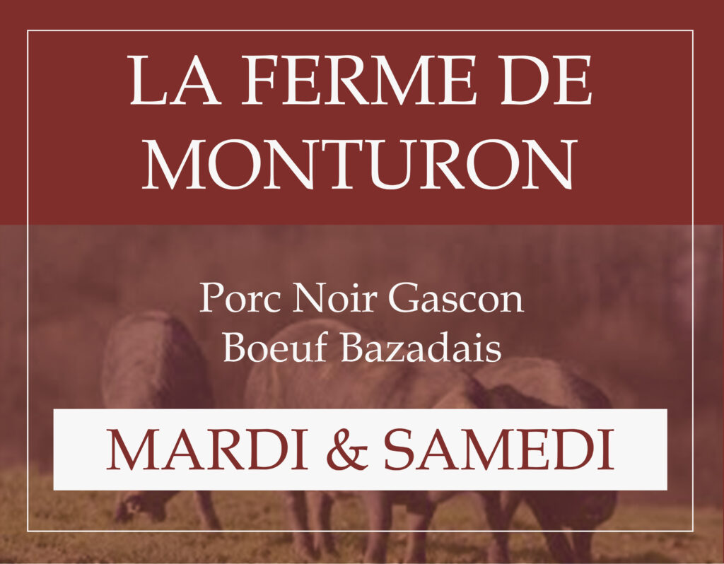 Marché couvert Aire sur l'Adour