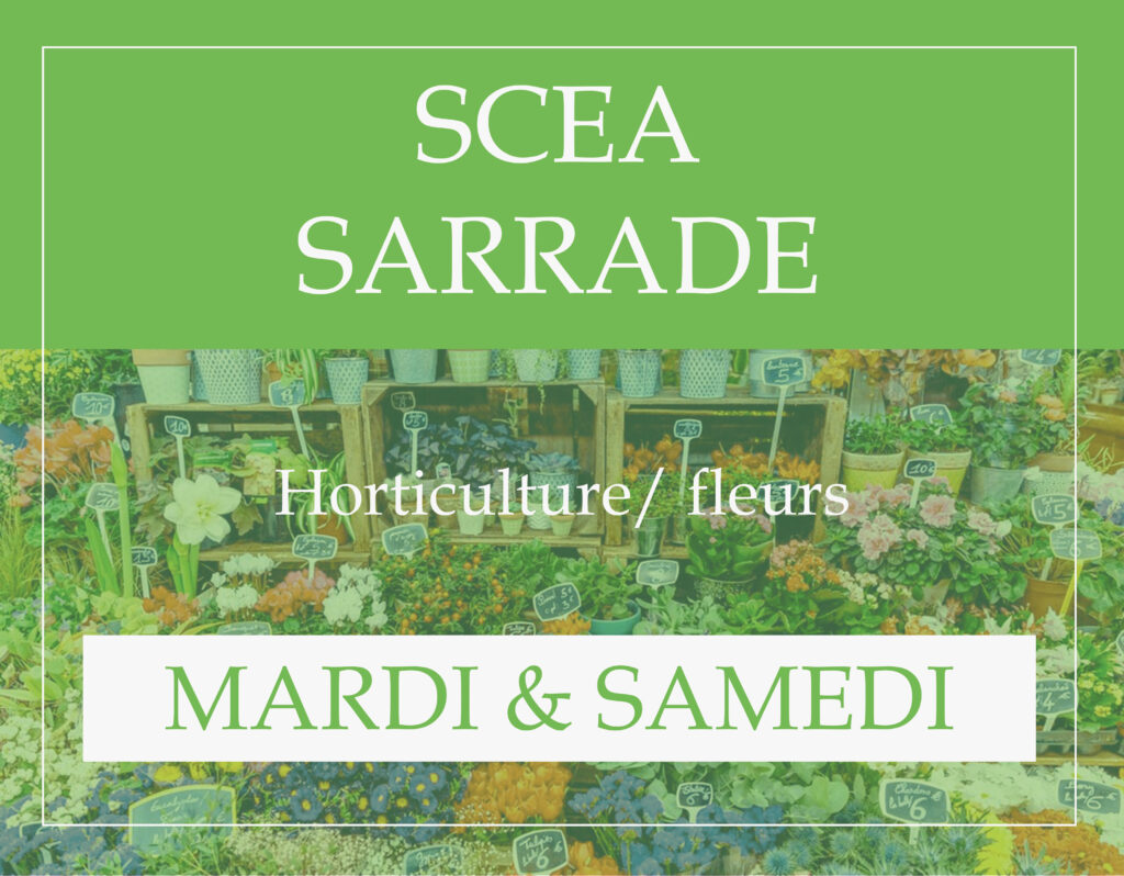 Marché couvert Aire sur l'Adour