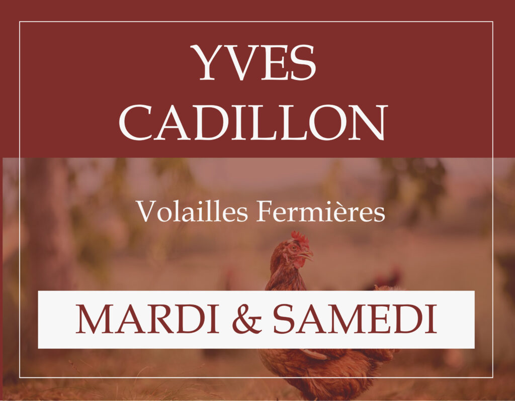 Marché couvert Aire sur l'Adour