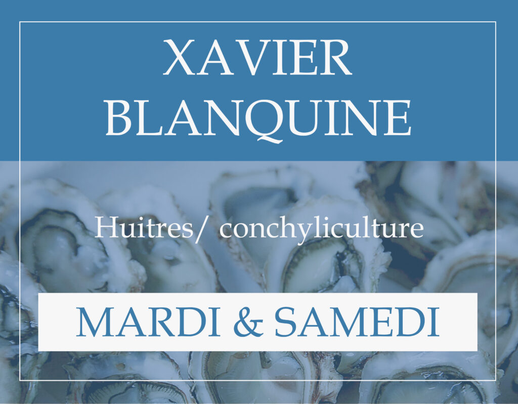 Marché couvert Aire sur l'Adour