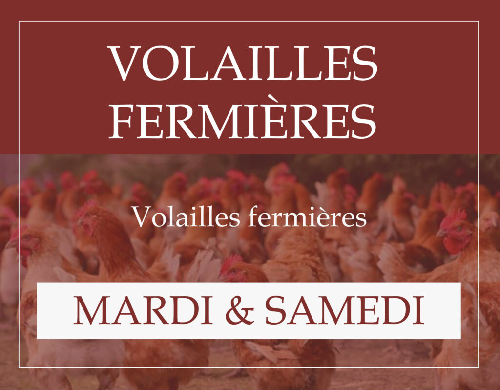 Marché couvert Aire sur l'Adour