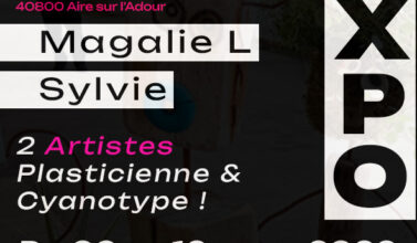 Exposition Aire sur l'Adour