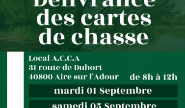Chasse Landes Aire sur l'Adour